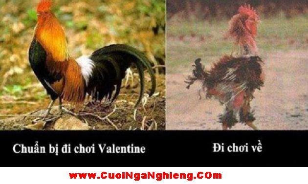 Trước và sau khi đi chơi Valentine.